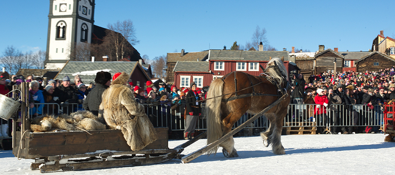 3 dg Julemarked i Røros m/Savalen Hotell